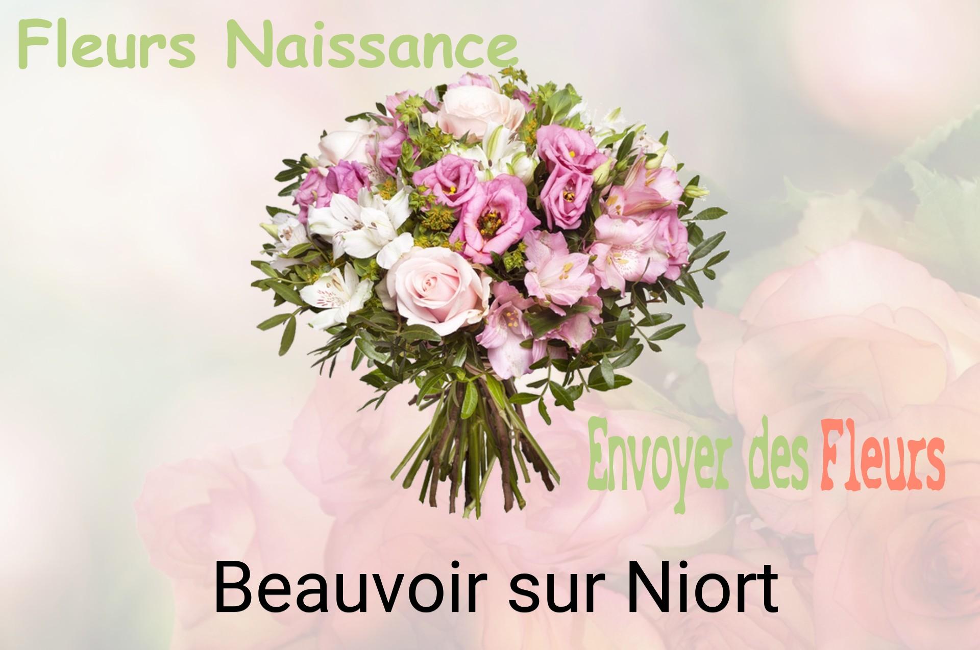 Bouquet de fleurs de naissance livré à Beauvoir-sur-Niort